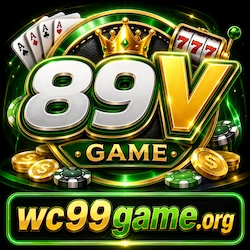 89V Game